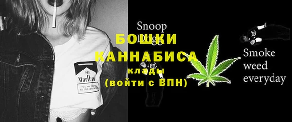 шишки Богданович