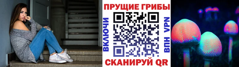Галлюциногенные грибы Psilocybe  даркнет сайт  Тейково 